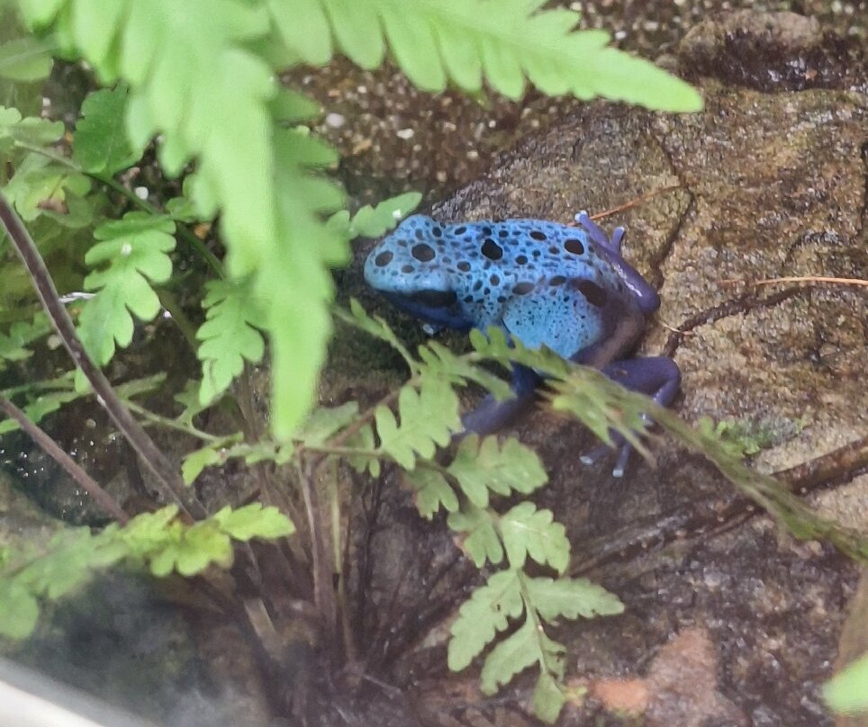 威廉玛动植物园-斯图加特必去景点