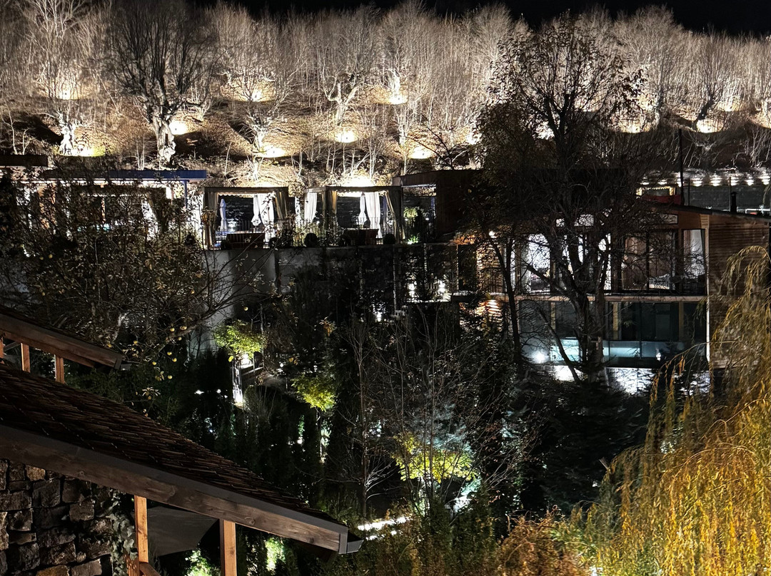 Dilijani Tun Hotel主图