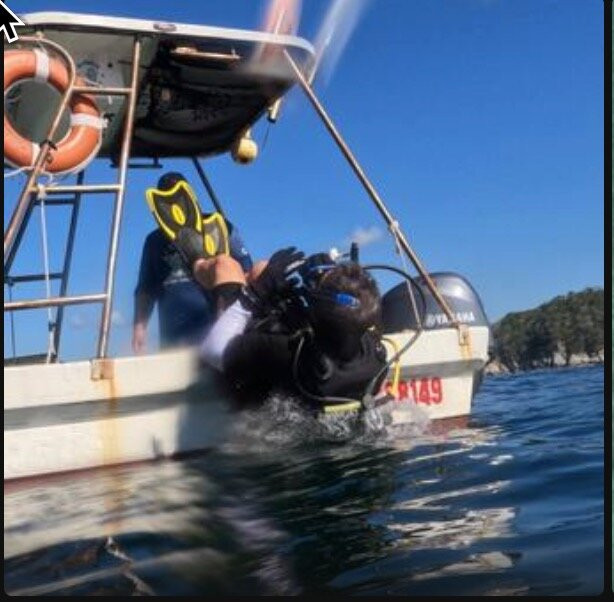 Scuba Diving Anfibios Huatulco-Crucecita必去景点