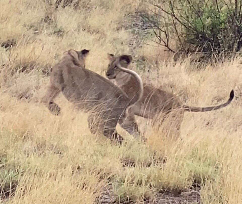 Aqua Paradise Safaris Day Tours-乌库达必去景点
