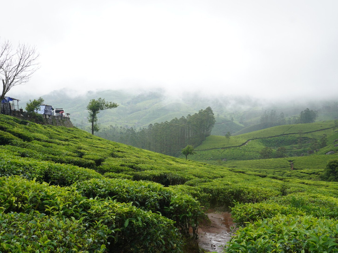 Kerala Holidays-柯钦必去景点