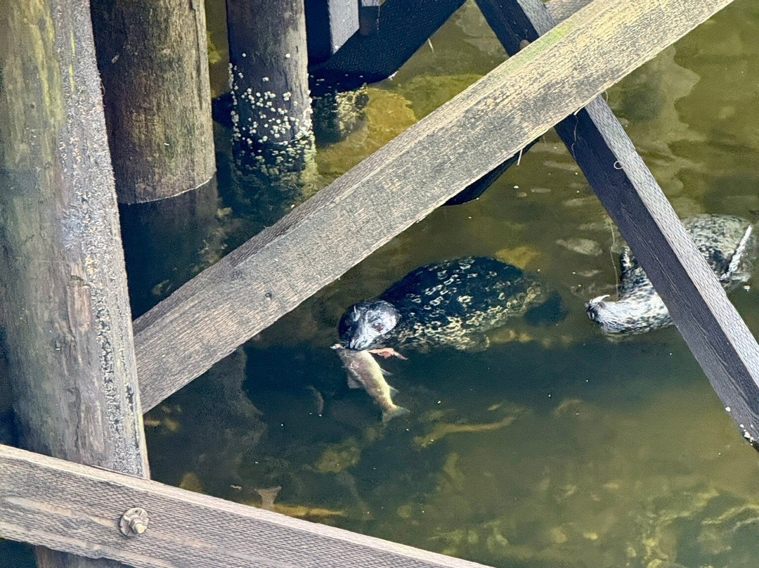 Creek Street-凯奇坎必去景点