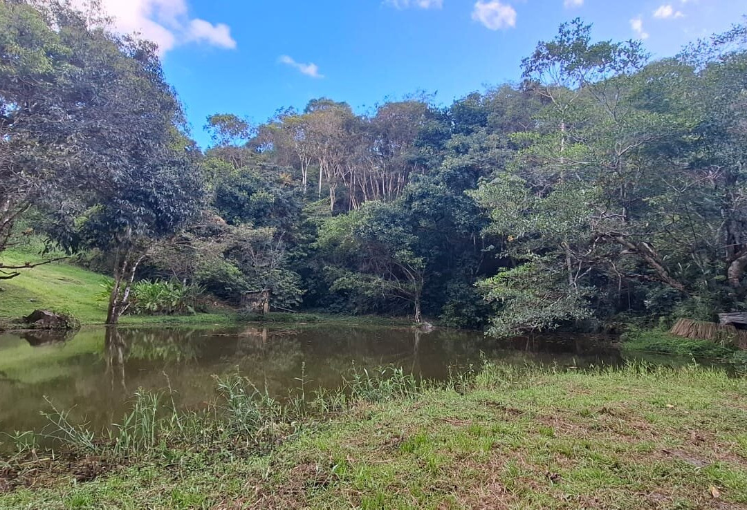 Aventura Eco Brasil-Barra de Sao Miguel必去景点