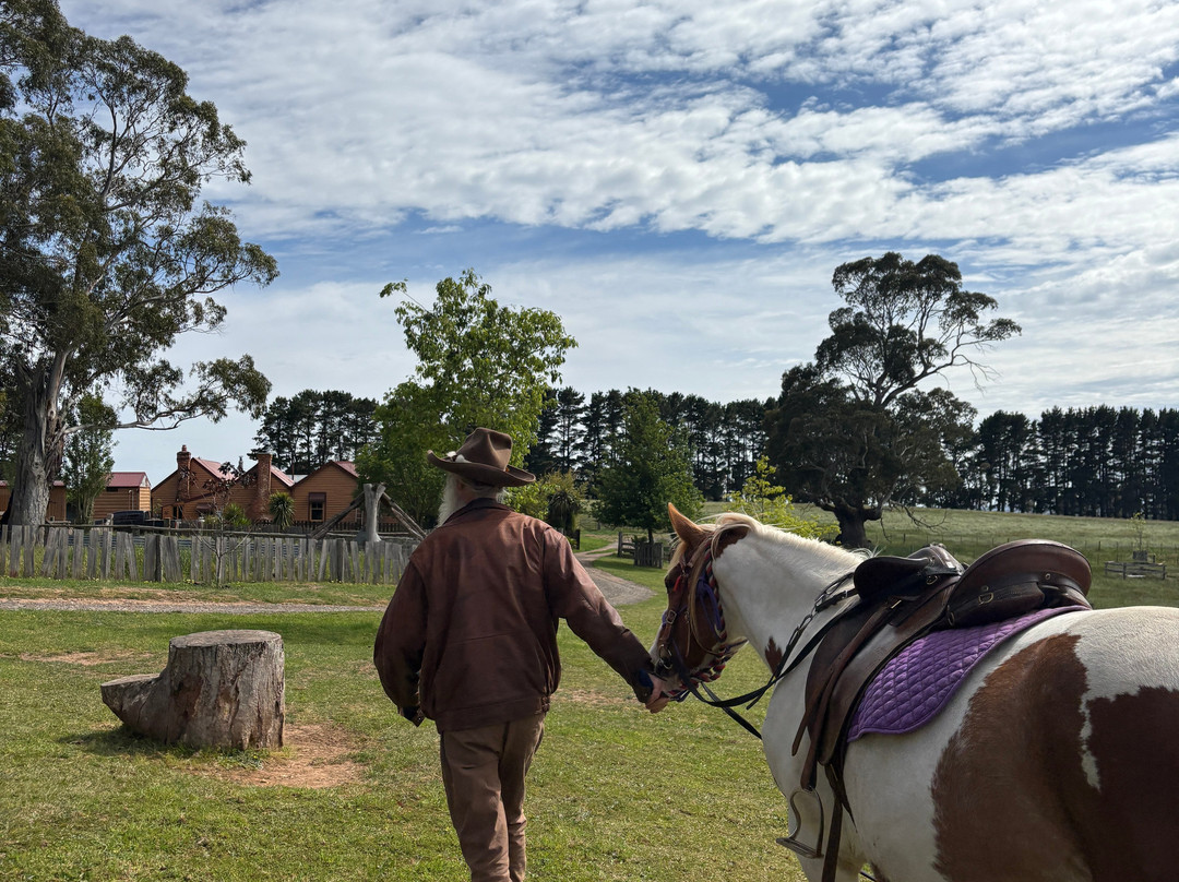 Silver Brumby Trails-Spring Hill必去景点