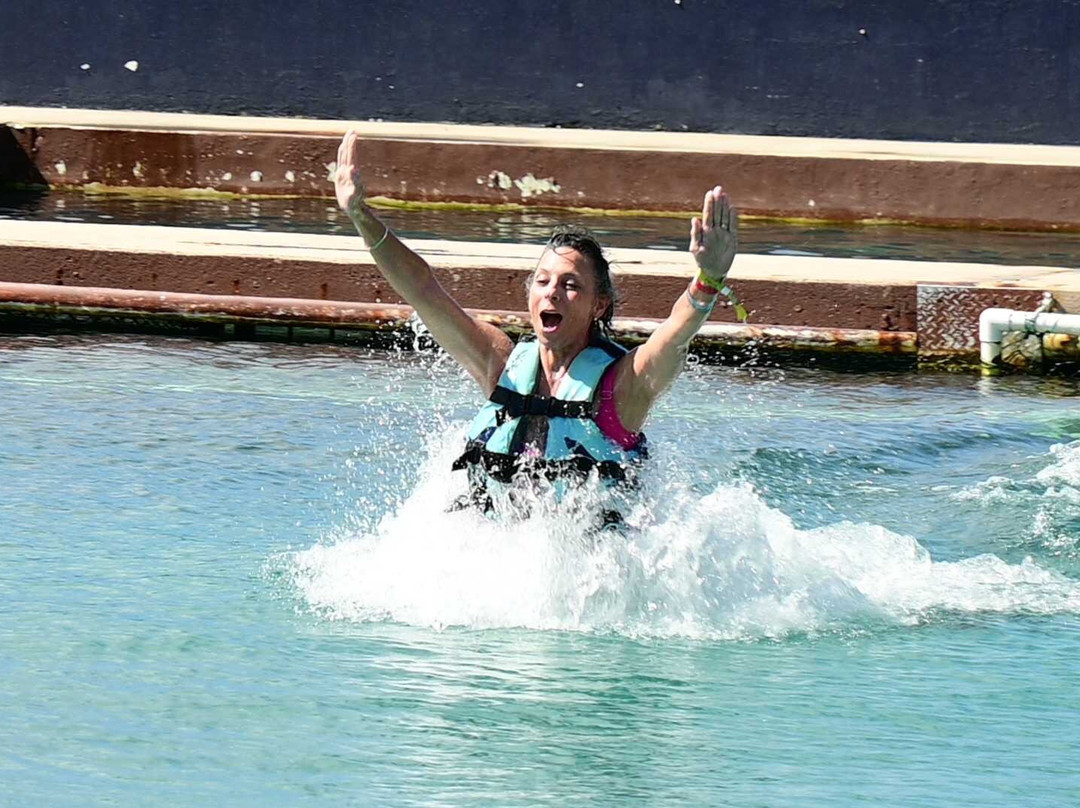 Dolphin Discovery Grand Cayman-西湾必去景点