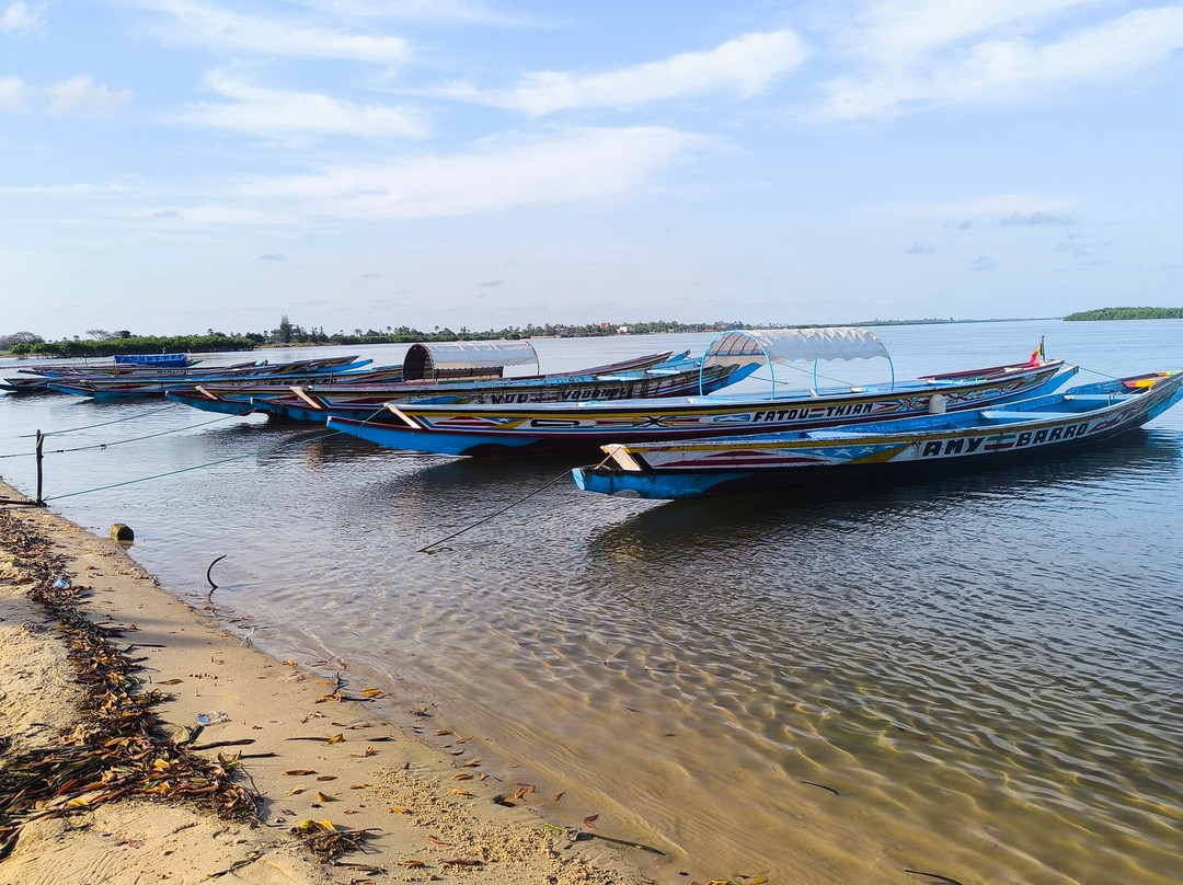 Guide to Sénégal-Ponto必去景点