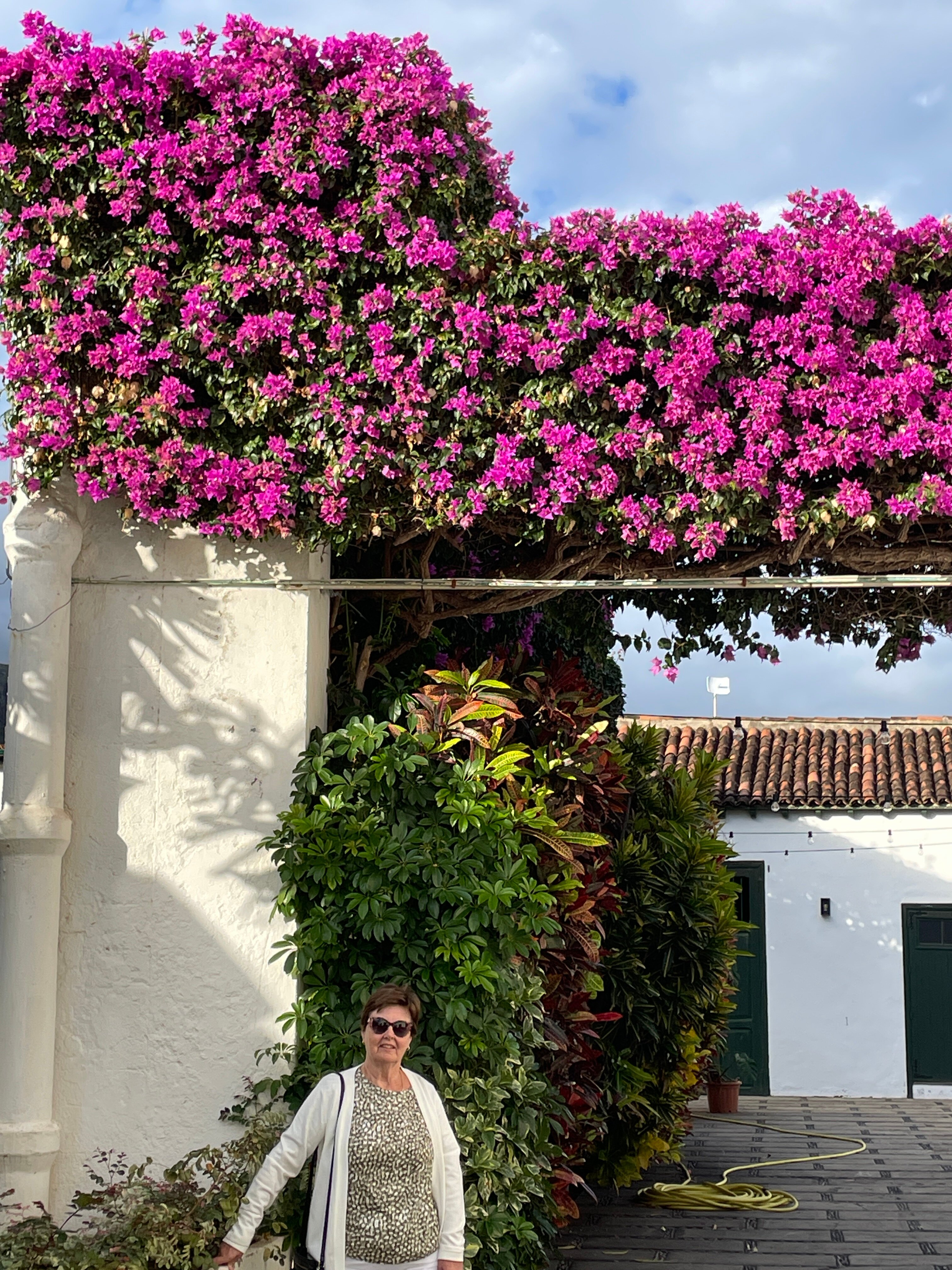 Hotel El Patio-浴室