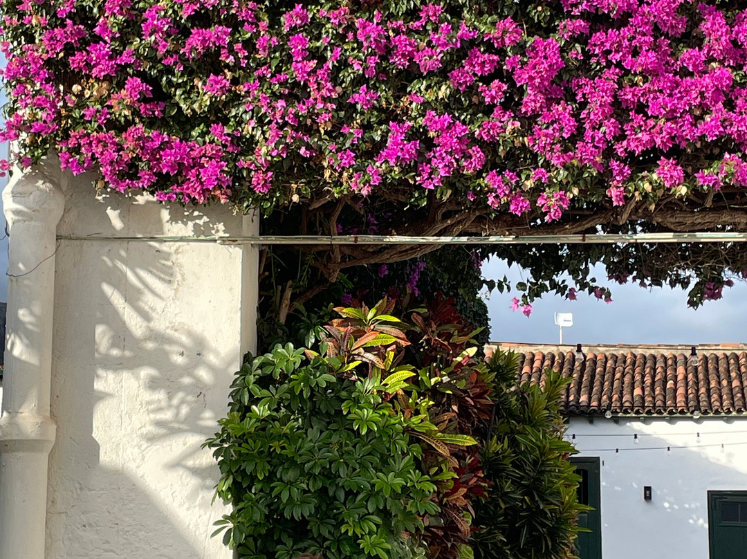 Hotel El Patio主图