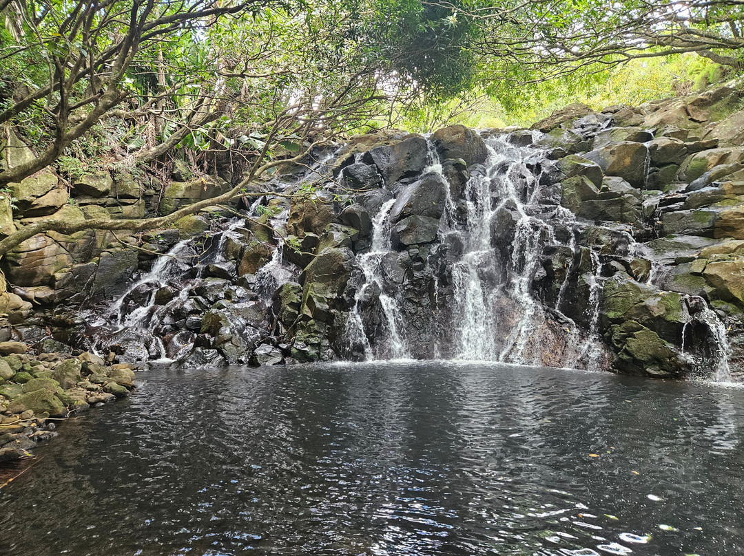 Vallé Advenature Park-Chamouny必去景点