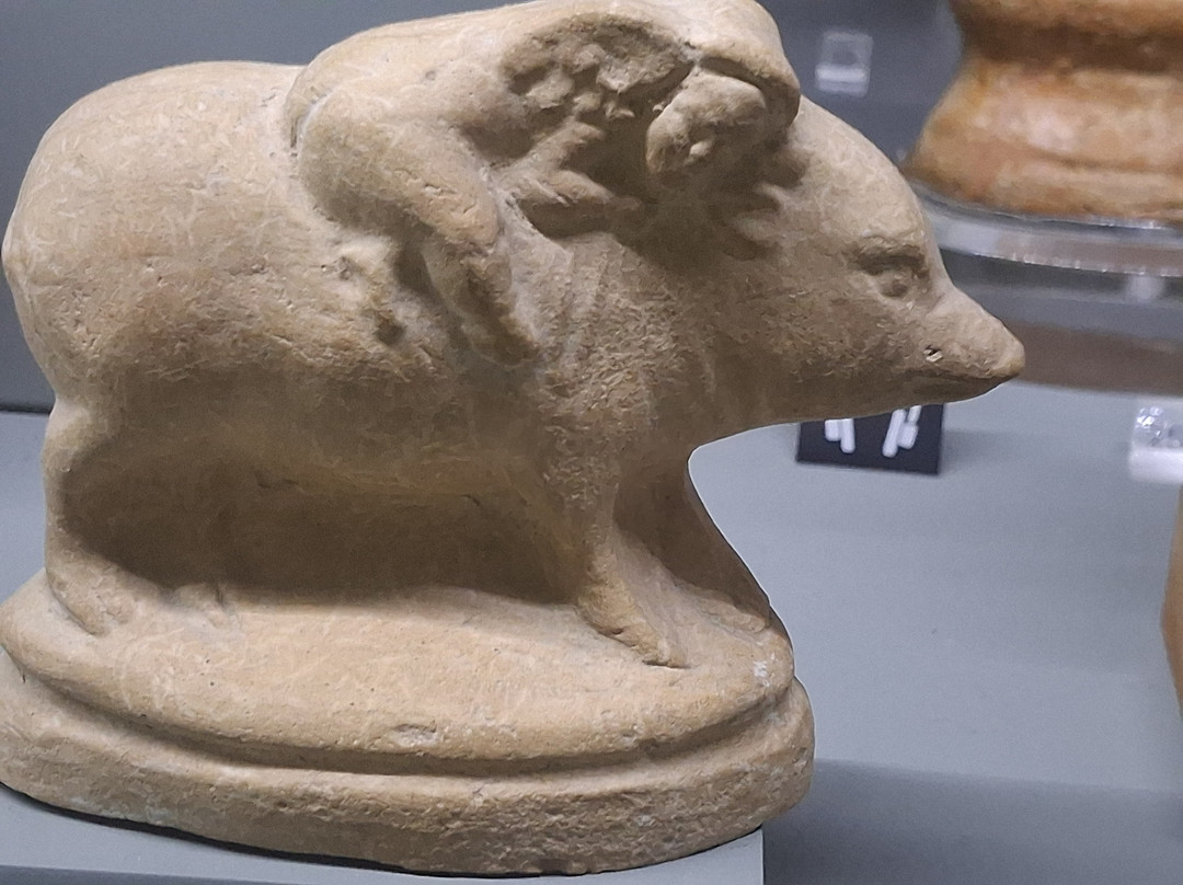 Cyprus Museum-尼科西亚必去景点