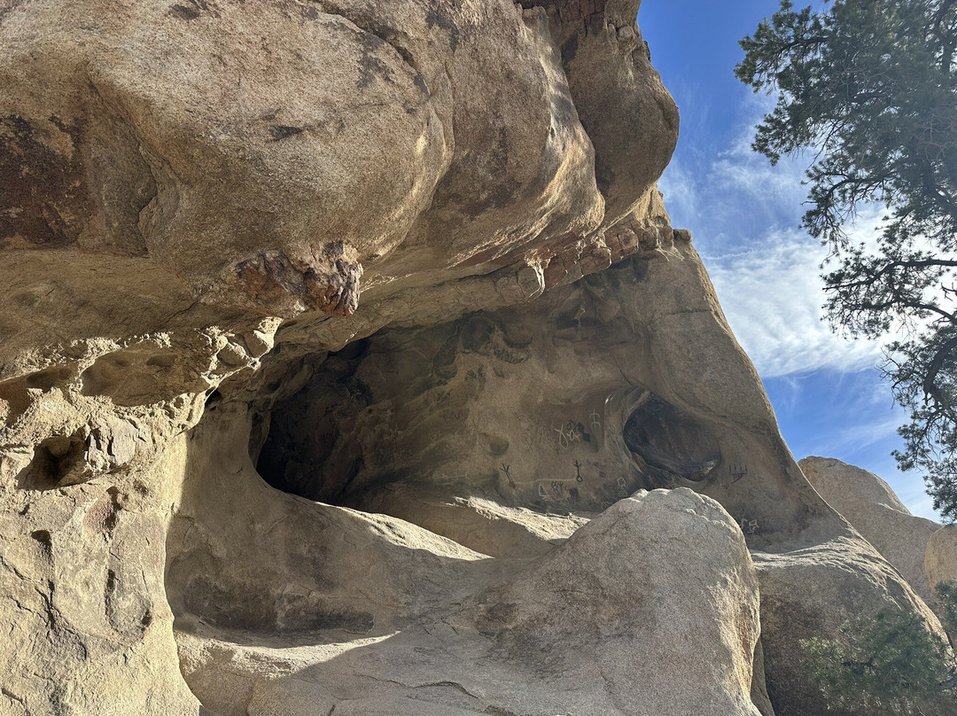 Barker Dam Trail-约书亚树国家公园必去景点