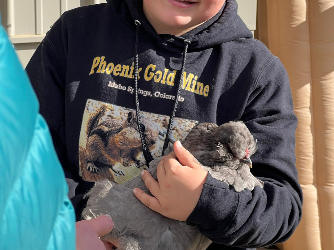 Winchester Creek Farm-韦恩斯维尔必去景点