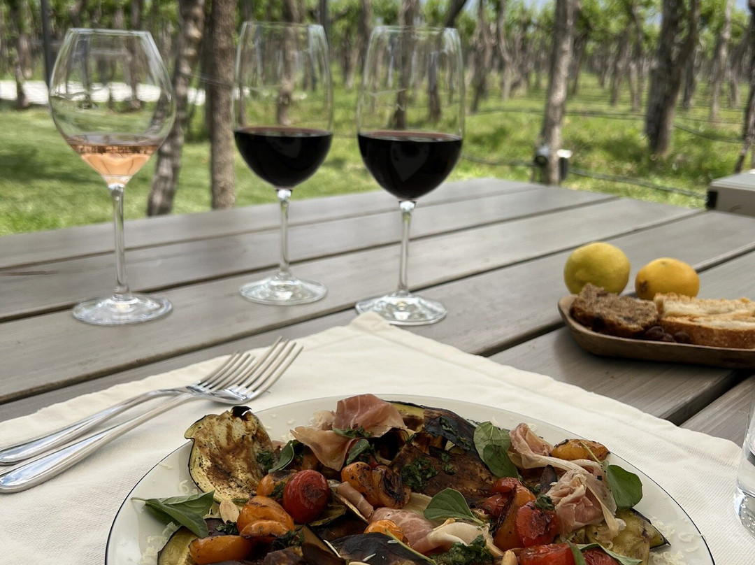 Bodega Kaiken-路冉得库约必去景点