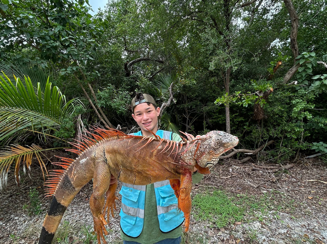 Invasive EnVogue-Ramrod Key必去景点