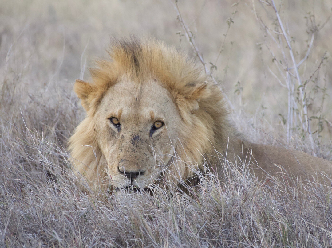 Lune Adventure Ltd-莫西必去景点
