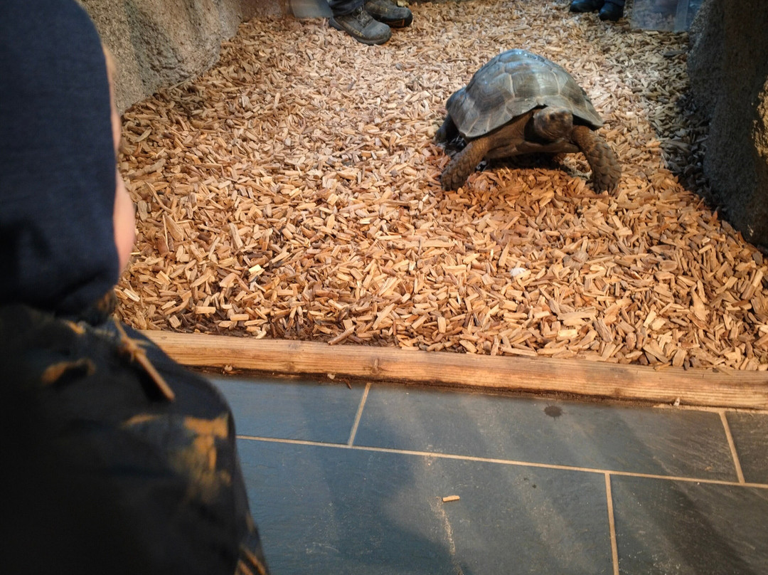 Krokodille Zoo-Eskilstrup必去景点