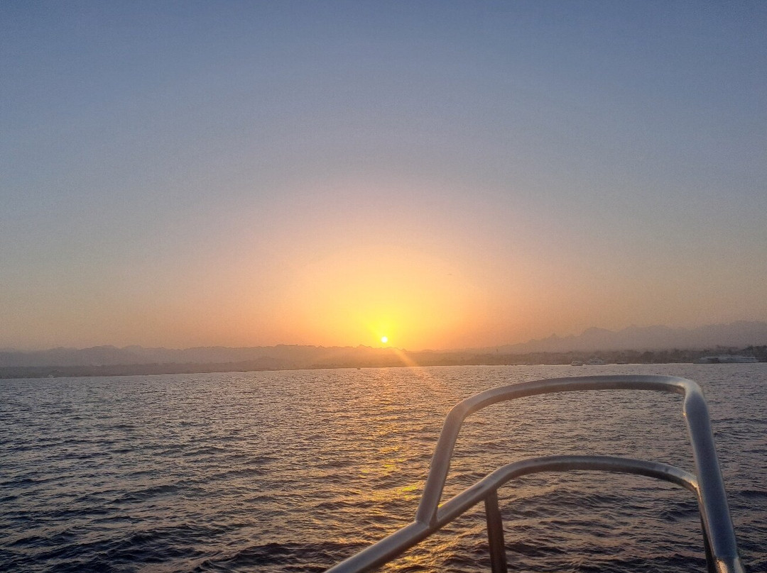 Ducks Diving Safaga-Safaga必去景点