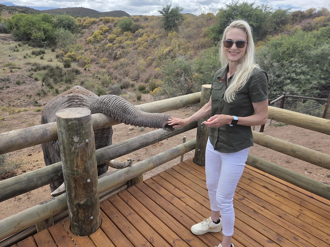 Buffelsdrift Game Lodge - Activities-奥兹洪必去景点