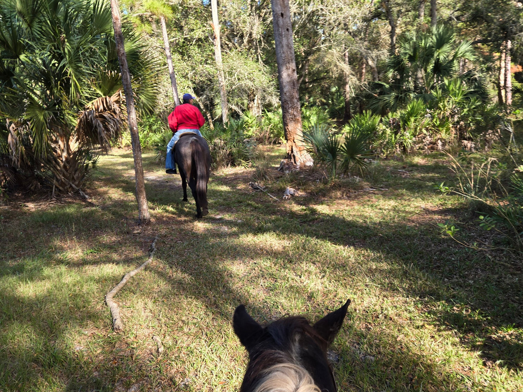 Wagon Wheel Horse Farm-奥基乔比必去景点
