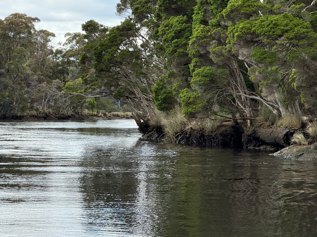 Leven River Cruises-Ulverstone必去景点