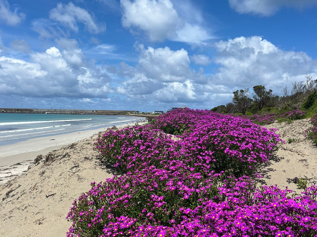 最佳西方奥尔德海洋汽车旅馆主图
