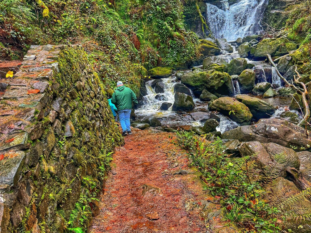 Wolfhound Adventure Tours-Baldoyle必去景点