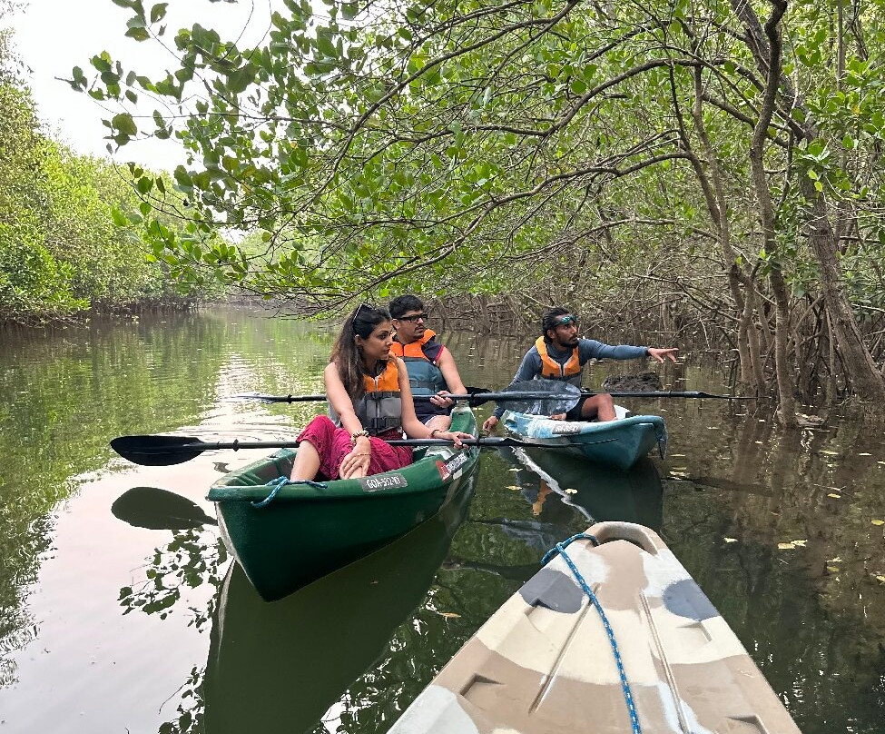 Konkan Explorers-Morjim必去景点