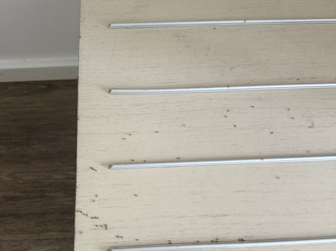 Hotel Black Tulip主图