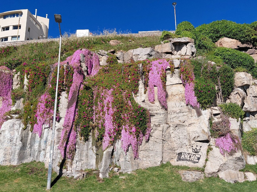 Paseo Adolfo Dávila-马德普拉塔必去景点