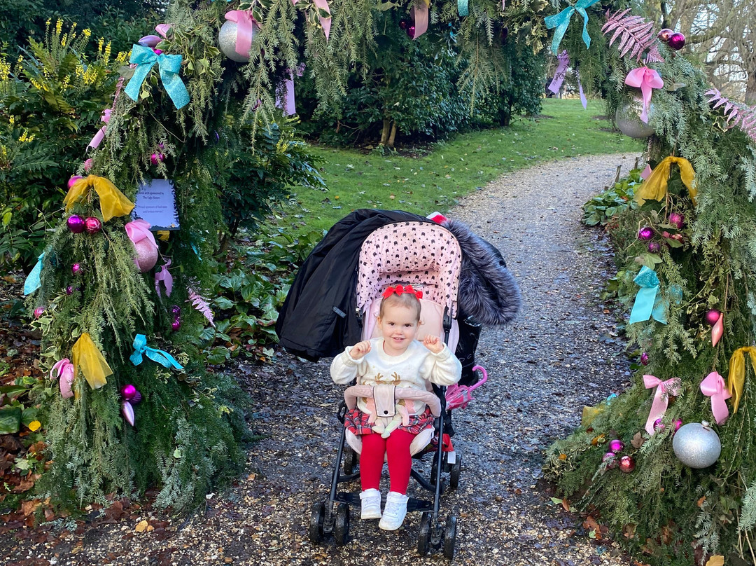 Mottisfont Abbey-Mottisfont必去景点