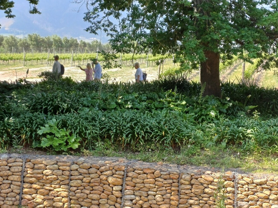 La Bri Estate-法兰舒克必去景点