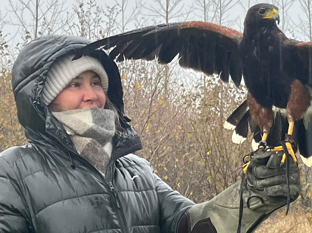 Bird on the Hand Falconry Experiences-Church Langton必去景点