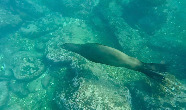 Freefall Academy-拉巴斯必去景点