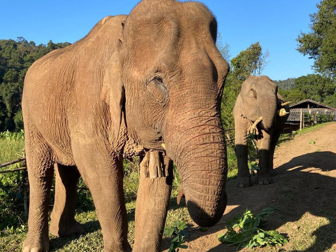 Nu Boutique Eco Trekking Chiang Mai-夜登必去景点