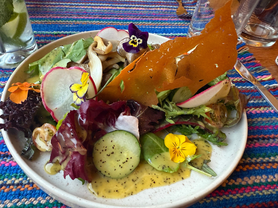 Hapya Best Peruvian Food Experience