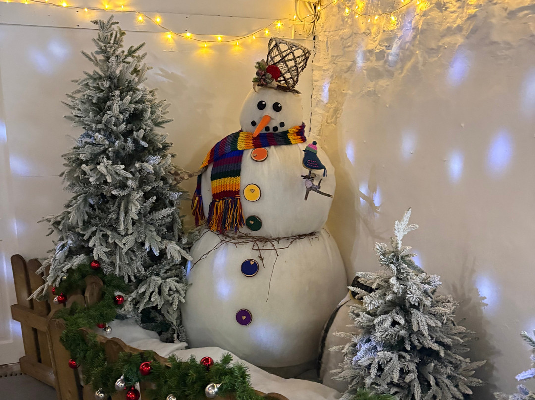 The Milky Way Adventure Park-Clovelly必去景点