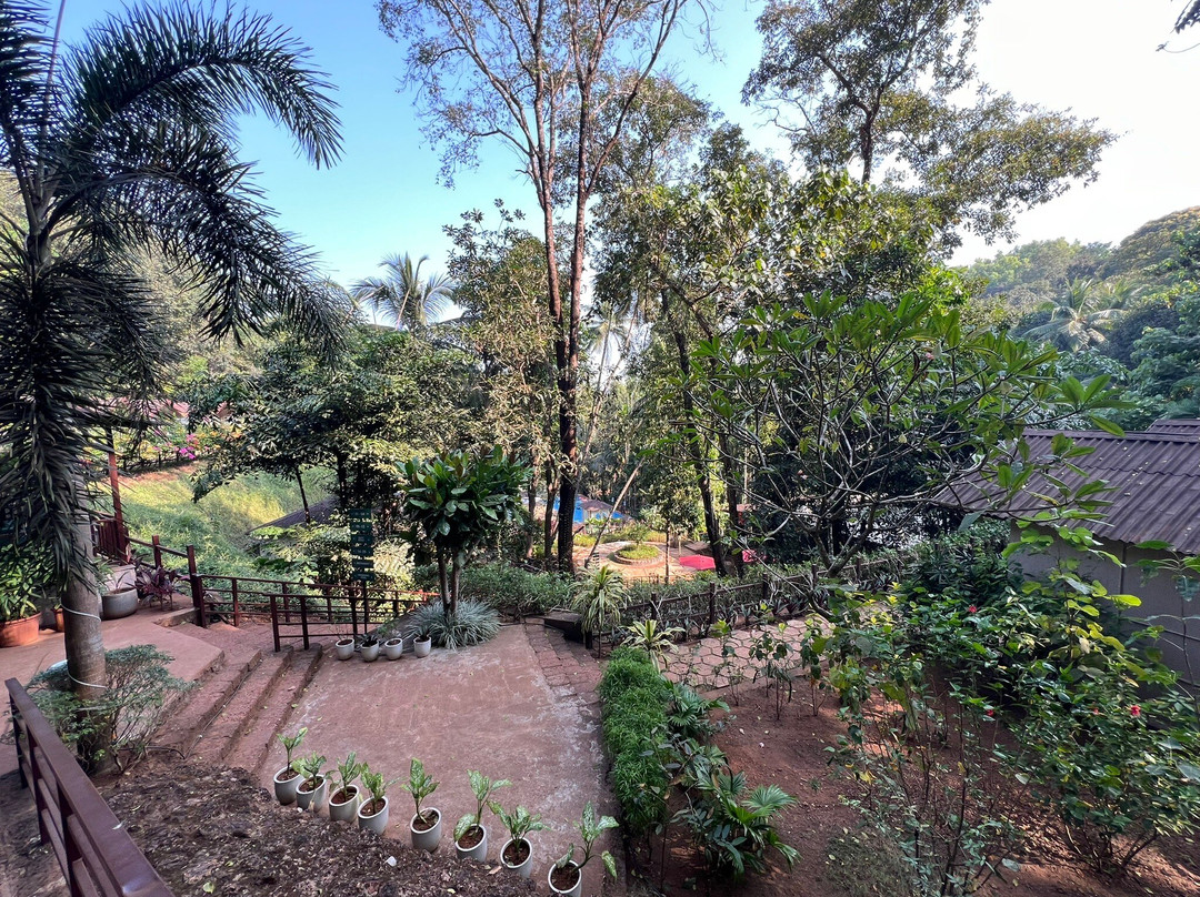 Stone Wood Premier Gokarna主图