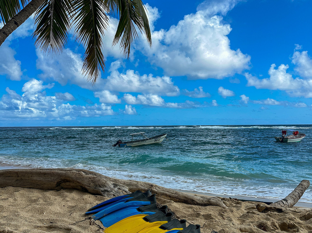 Peninsula Tours Las Terrenas-拉斯特拉纳斯必去景点