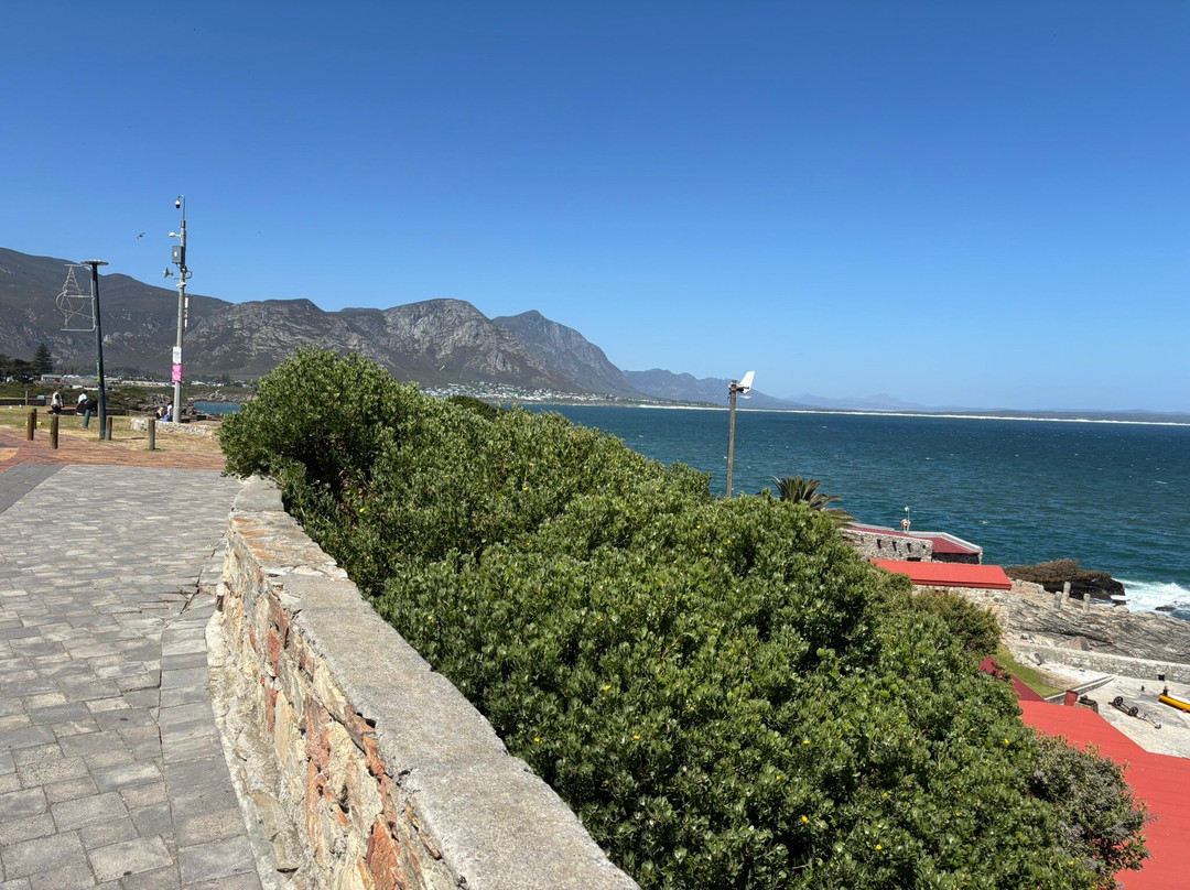 Hermanus Cliff Path-赫曼努斯必去景点