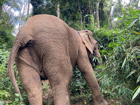 Nu Boutique Eco Trekking Chiang Mai-夜登必去景点