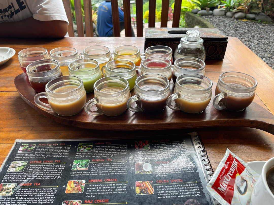 Celuk Swing & Luwak Coffee-Celuk必去景点