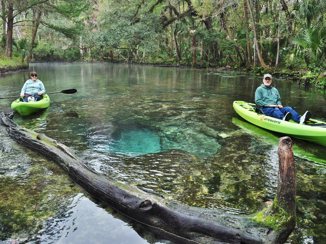 Nature Coast Eco Tours-Homosassa必去景点