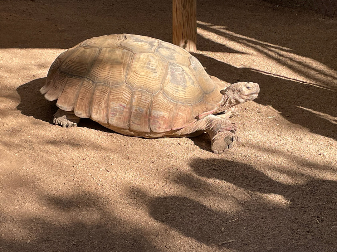 Southwest Wildlife Conservation Center-斯科茨代尔必去景点
