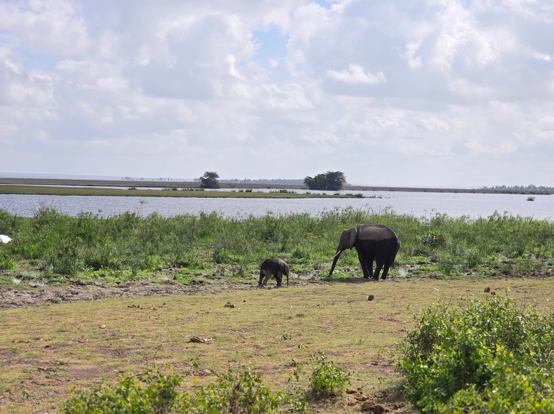 Expeditions Maasai Safaris-内罗毕必去景点
