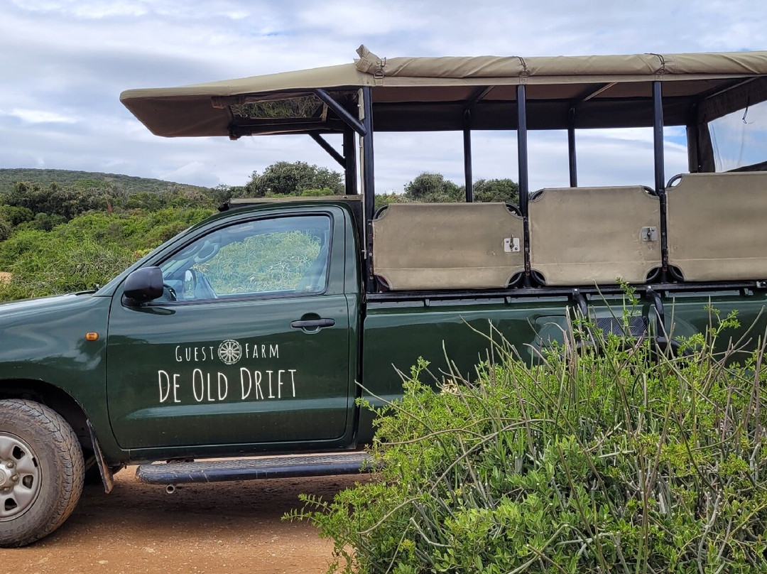 De Old Drift Guest Farm主图