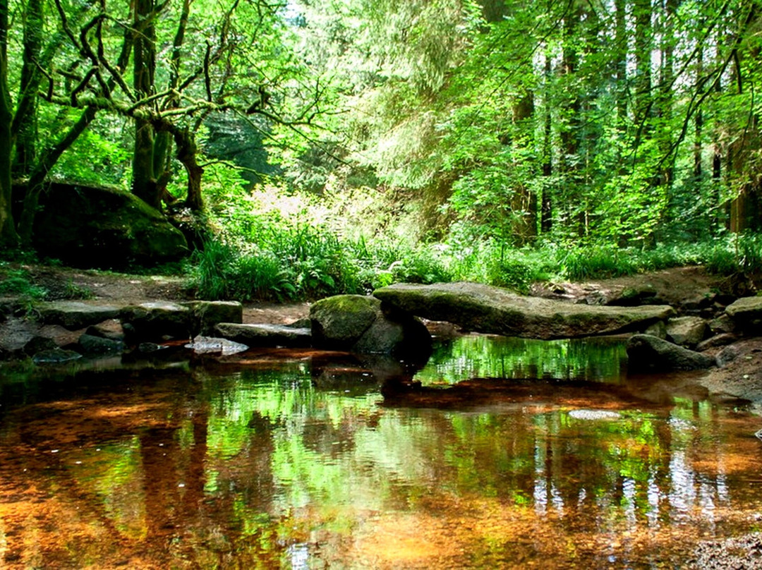 Foret de Huelgoat-Huelgoat必去景点