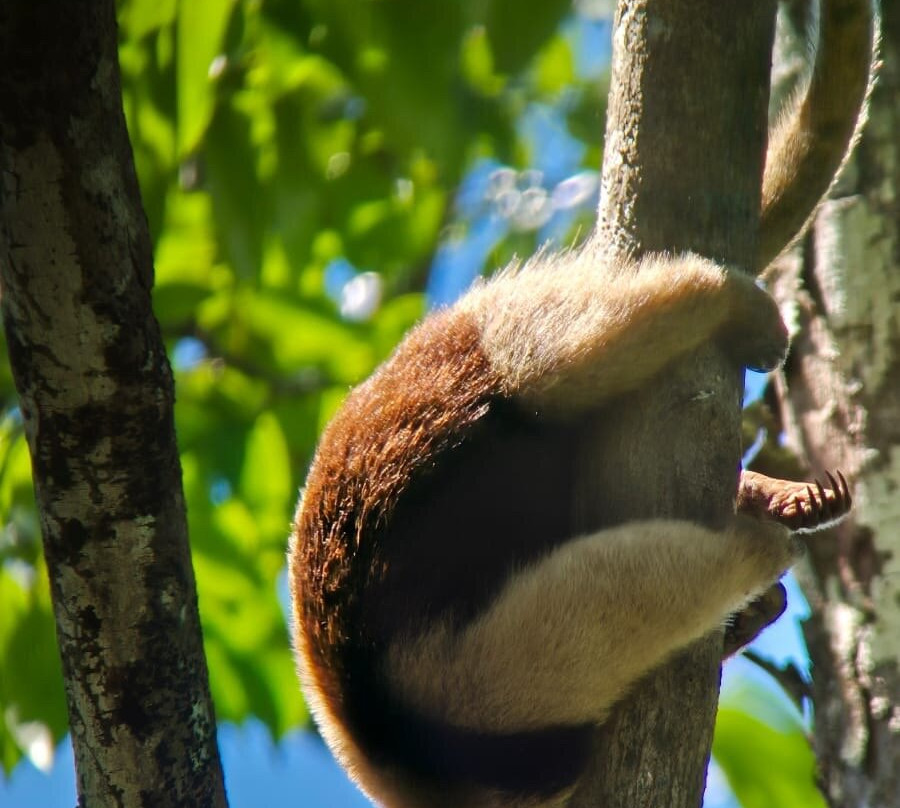 Picolina Tours-德雷克湾必去景点
