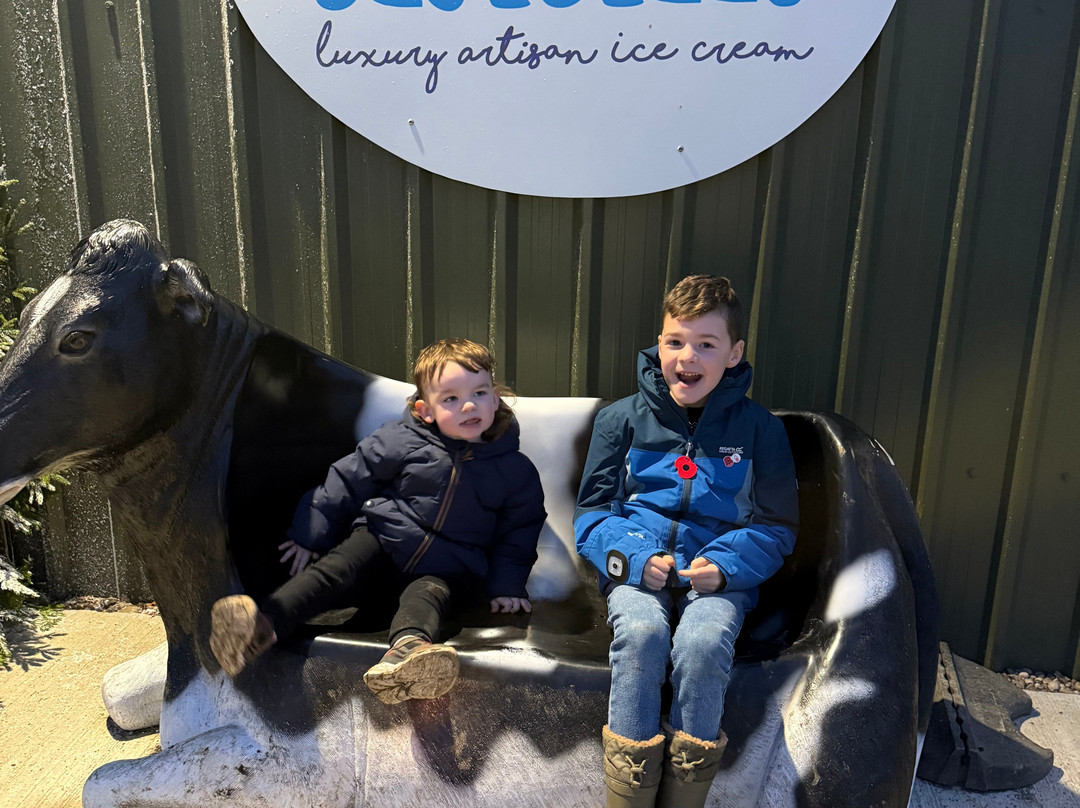 Bluebell Dairy Farm-德比必去景点