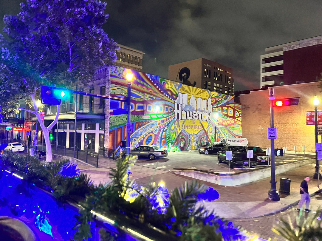 Houston City Tours-休斯顿必去景点