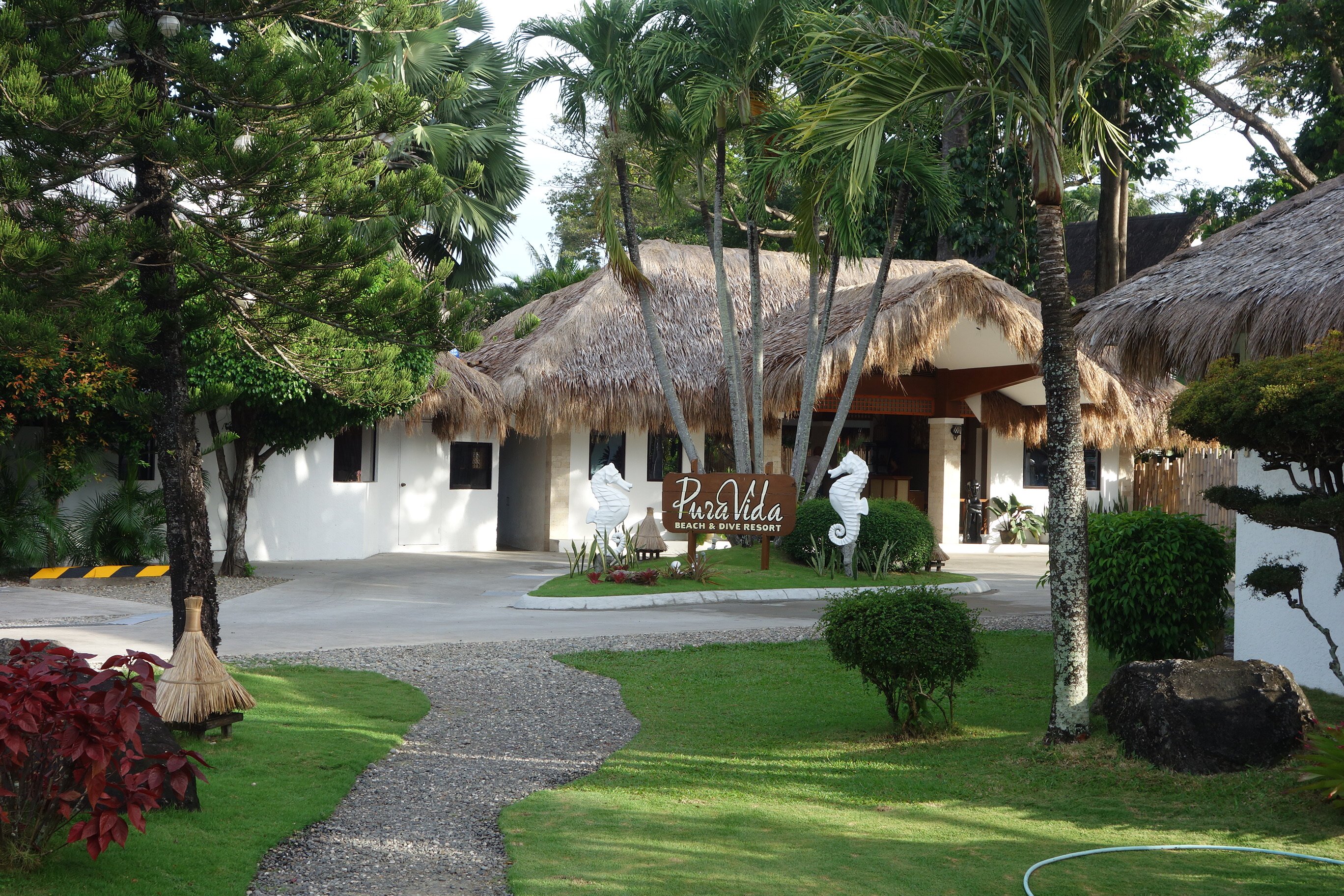 Pura Vida Beach & Dive Resort-官方